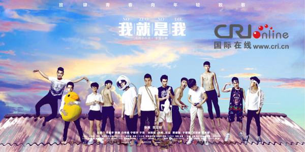 路易斯堡学院 Media diploma